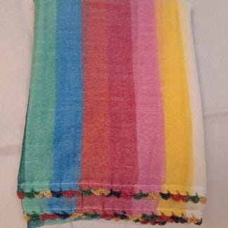 Multi Colour Dupatta